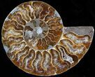 Agatized Ammonite Fossil (Half) #39615-1